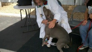 valentine and Pastor Lili Bush