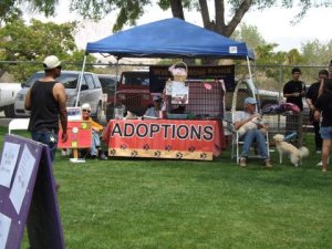 2013 VDJ wee bar none