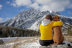 hiking with your dog in winter