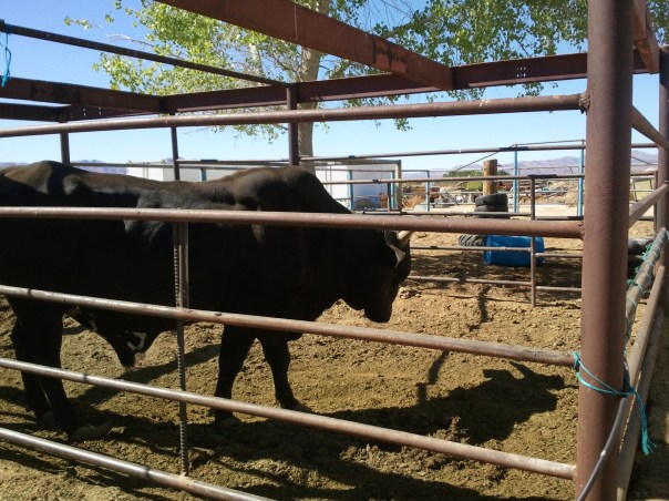 2012-04-20 15.41.00.jpg